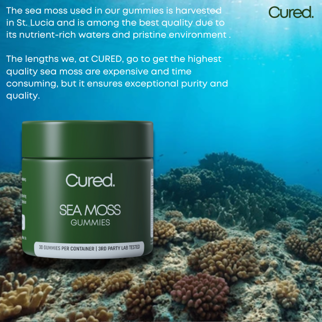CURED® sea moss gummies